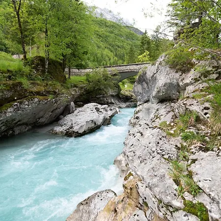 Vakantiehuis Camp Korita *